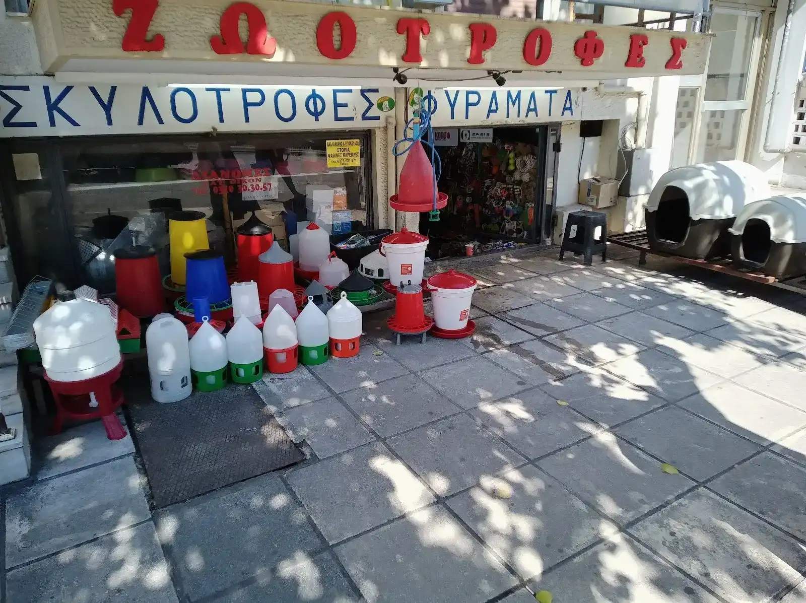 Χρυσογονίδης Ζωοτροφές