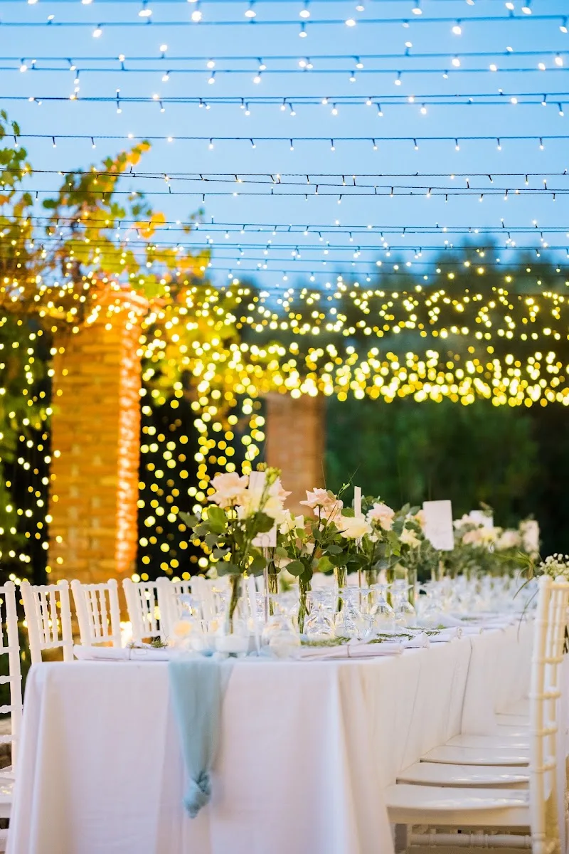 Elli's Plan Events
