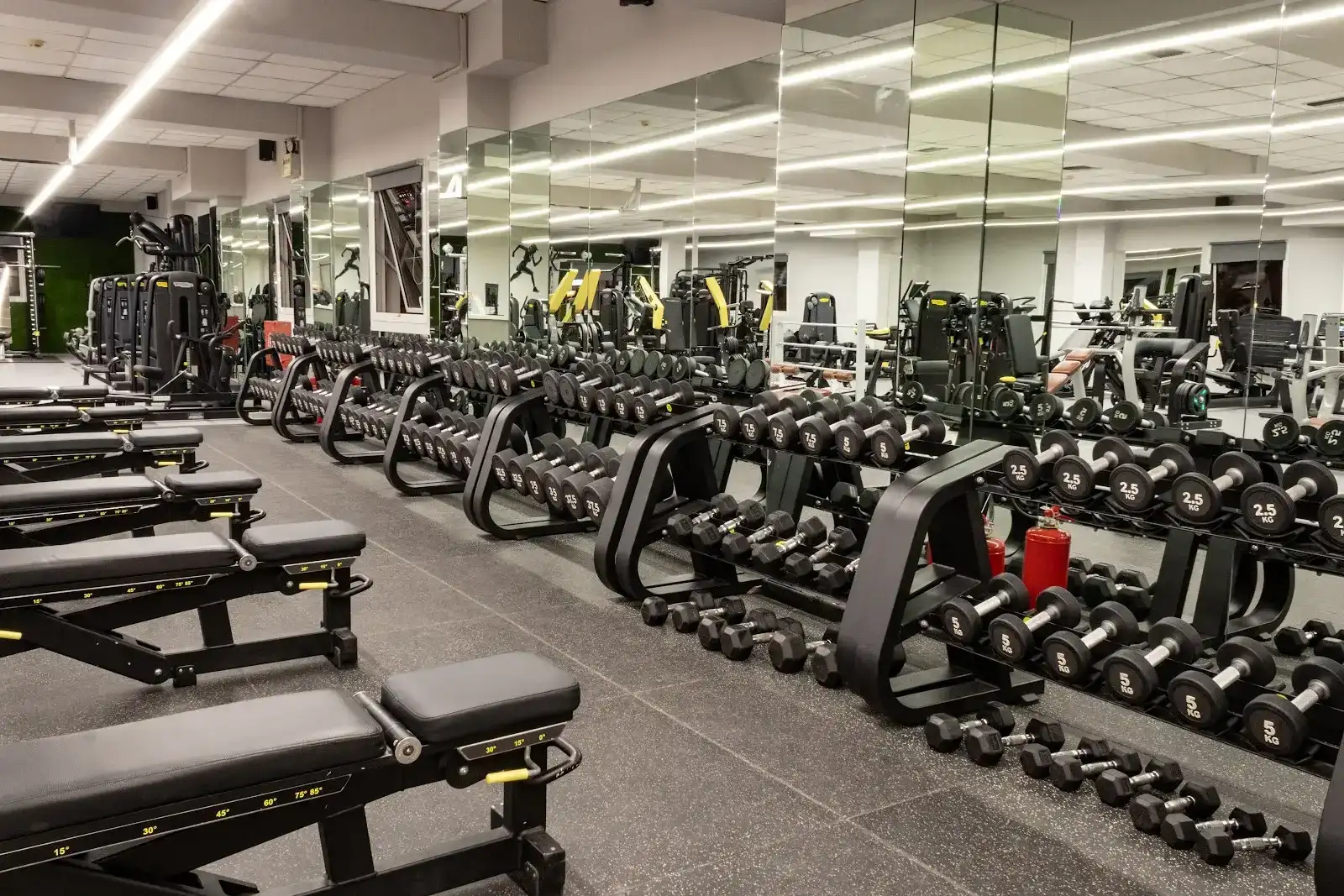 Golden Gym Galatsi
