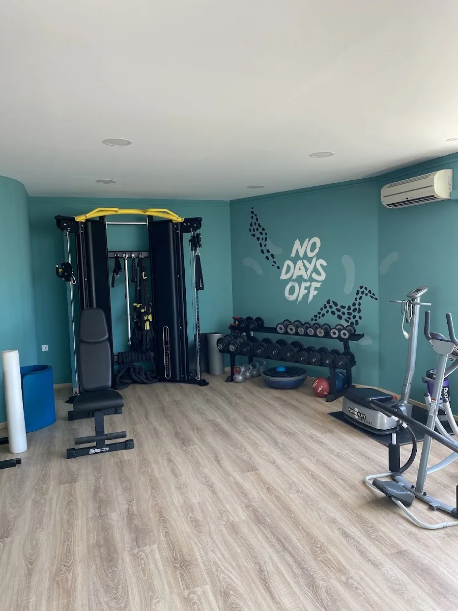 Hellenic Gym