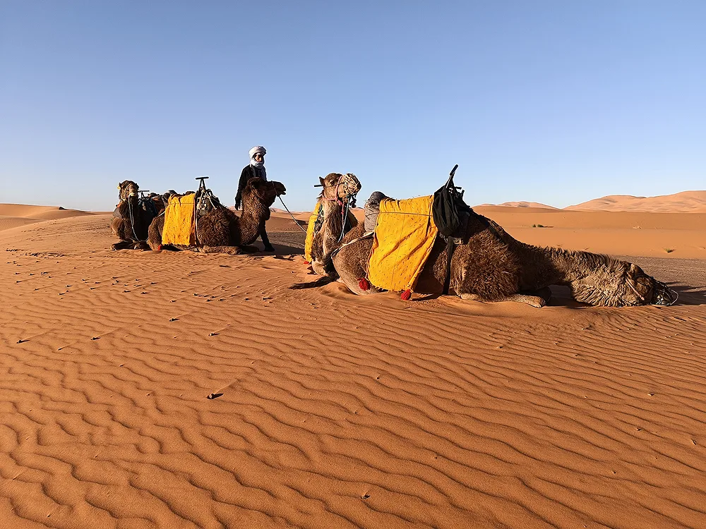 Koskina Tours