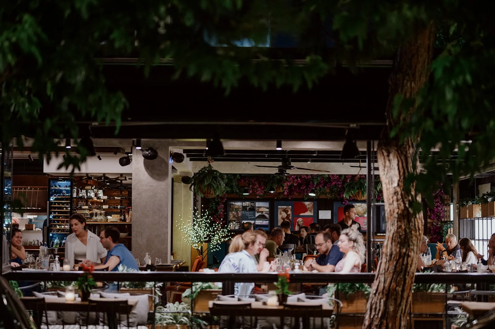 Κουκουνάρι · Εστιατόρια & Ταβέρνες · Χολαργός