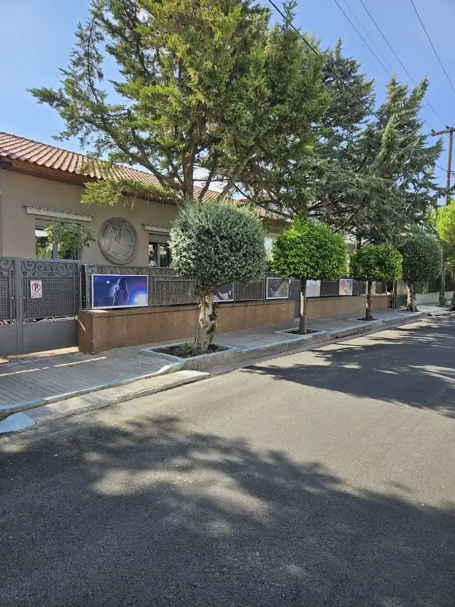 MAIANDROS MUSIC & ART LEARNING CENTER · Νυχτερινή Διασκέδαση · Χαλάνδρι