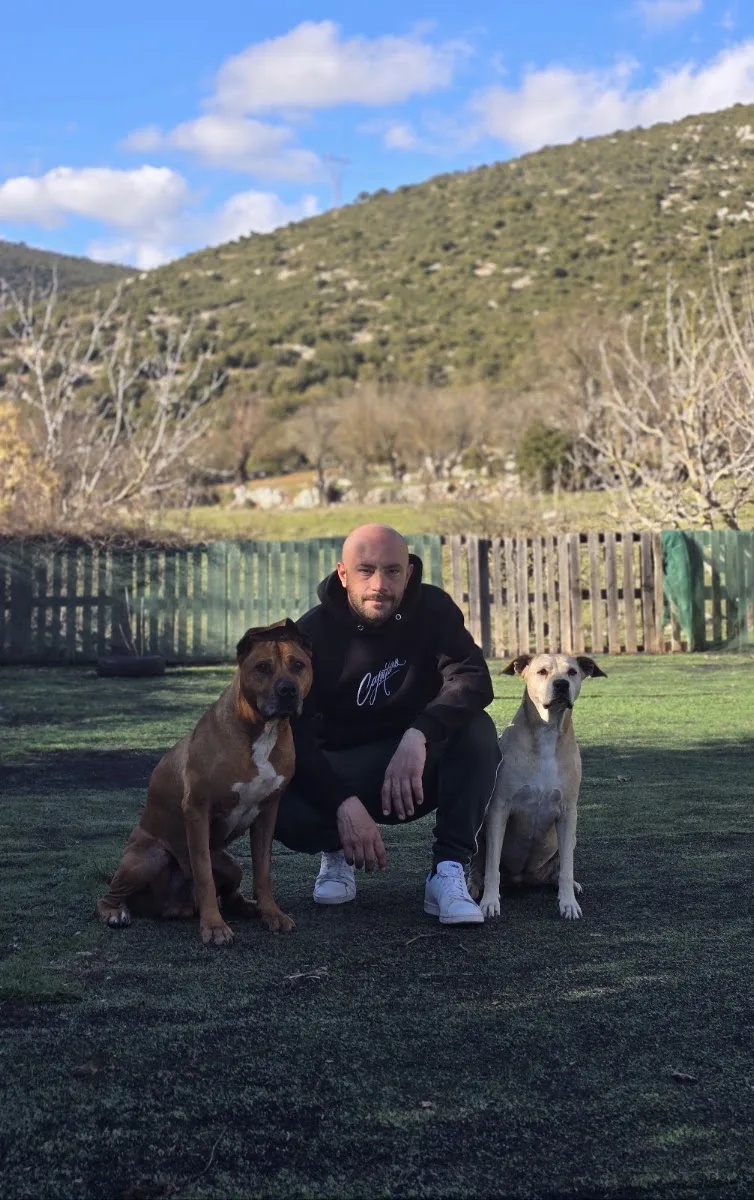 Methodog