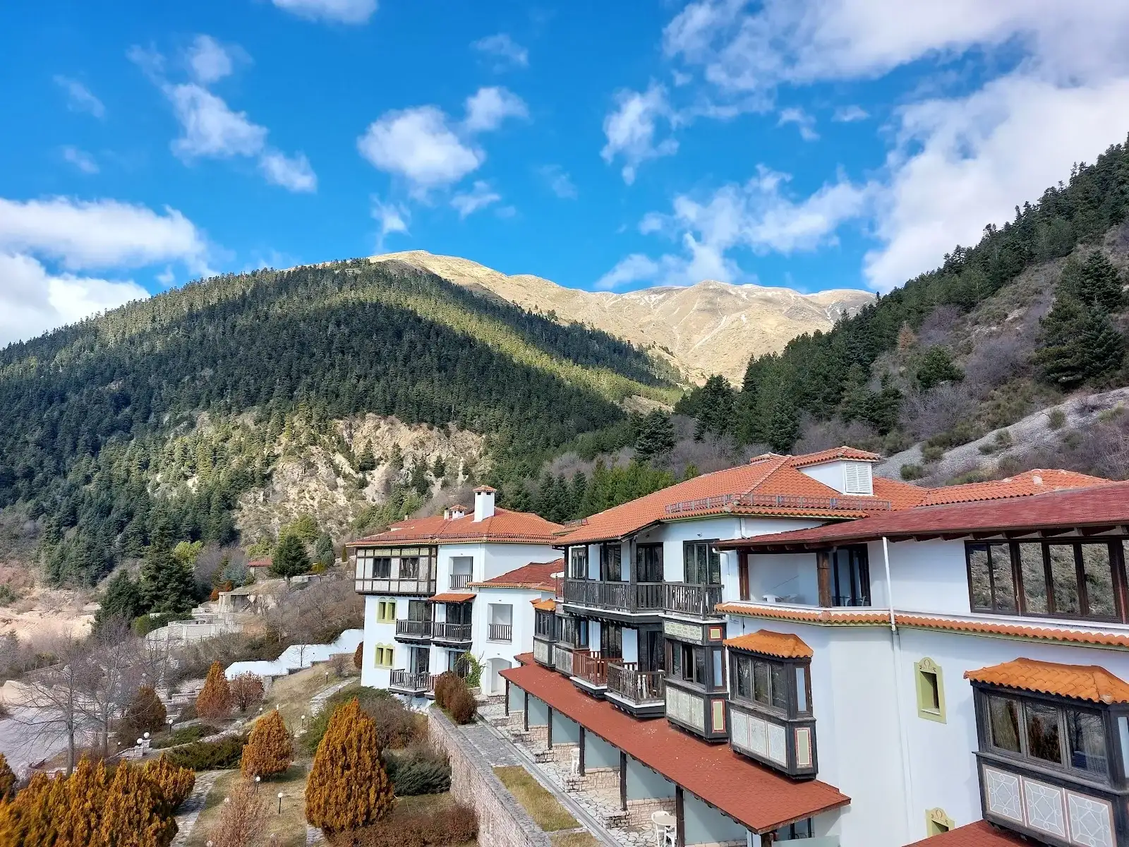 Montana Hotel