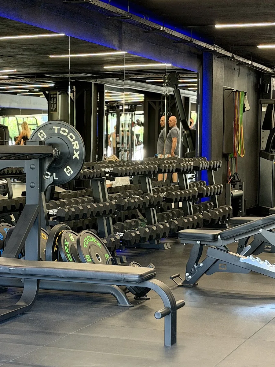 Need - Open Gym