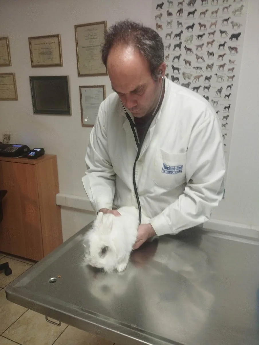 Παπαδημητρίου Θωμάς Vet Advice Κτηνίατρος - Κτηνιατρείο Παλαιό Φάληρο