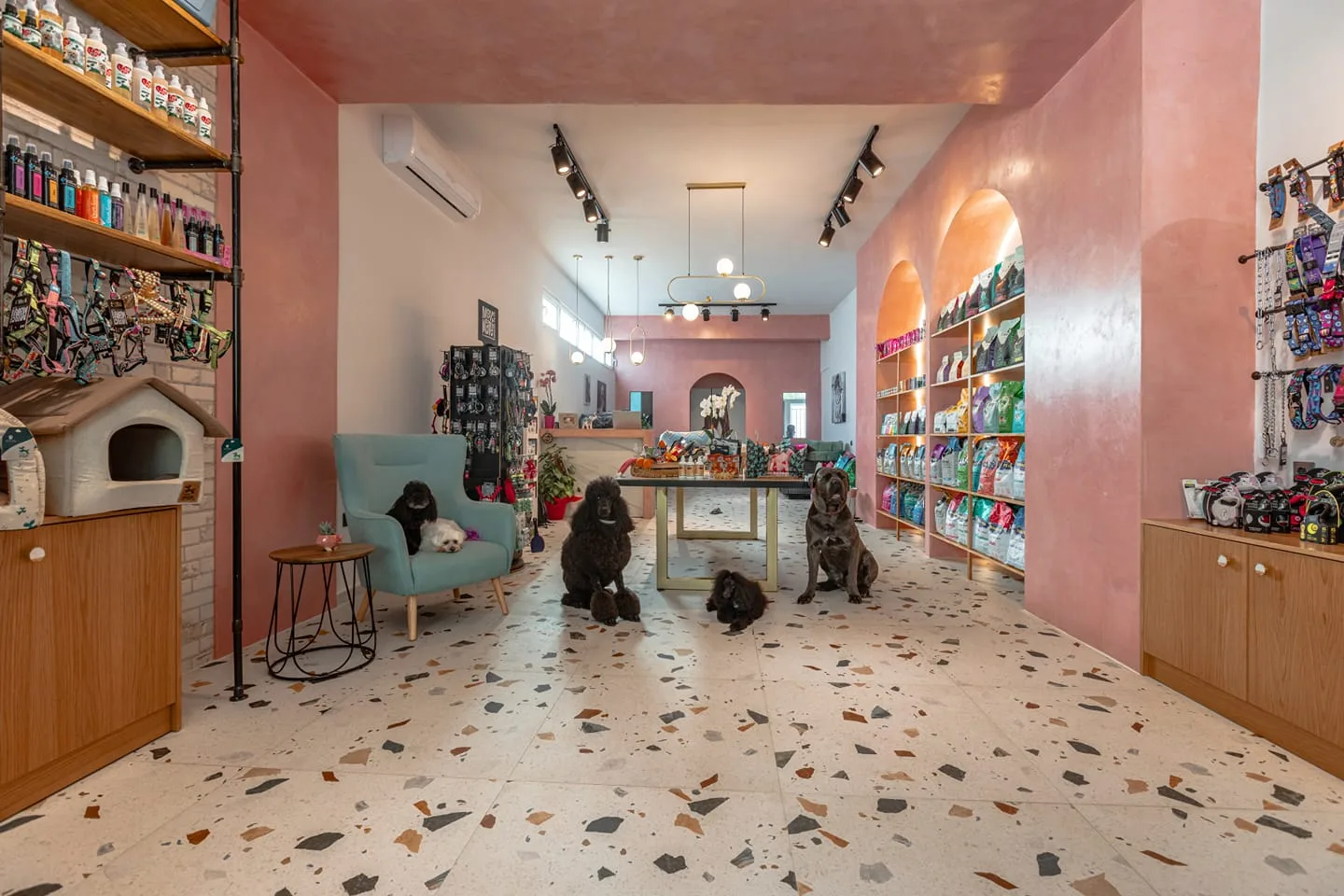 Φρου Φρου pet salon & boutique - Σπάρτη - Pet shop Σπάρτη, Κομμωτήριο σκύλων Σπάρτη, Αξεσουάρ ζώων Σπάρτη