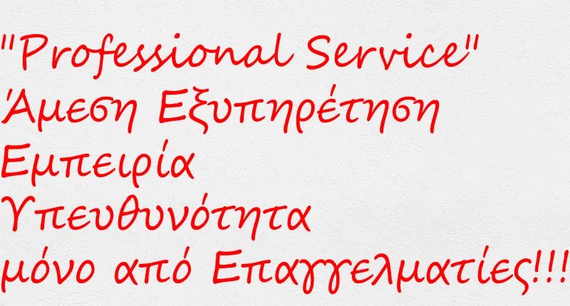 Professional Service