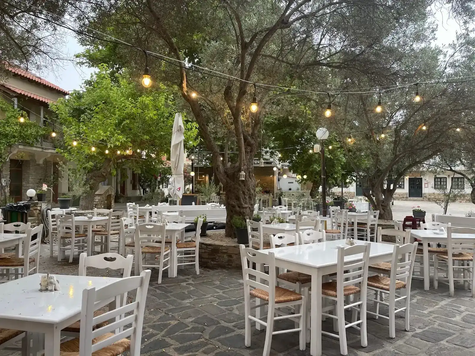ΣΤΟ ΚΑΜΠΙ εδεσματοπωλείον