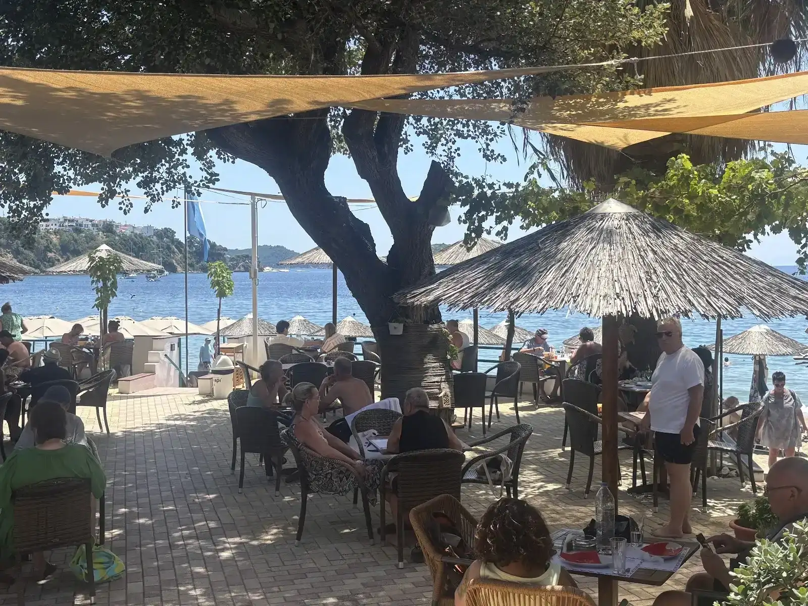Swell Beach Bar