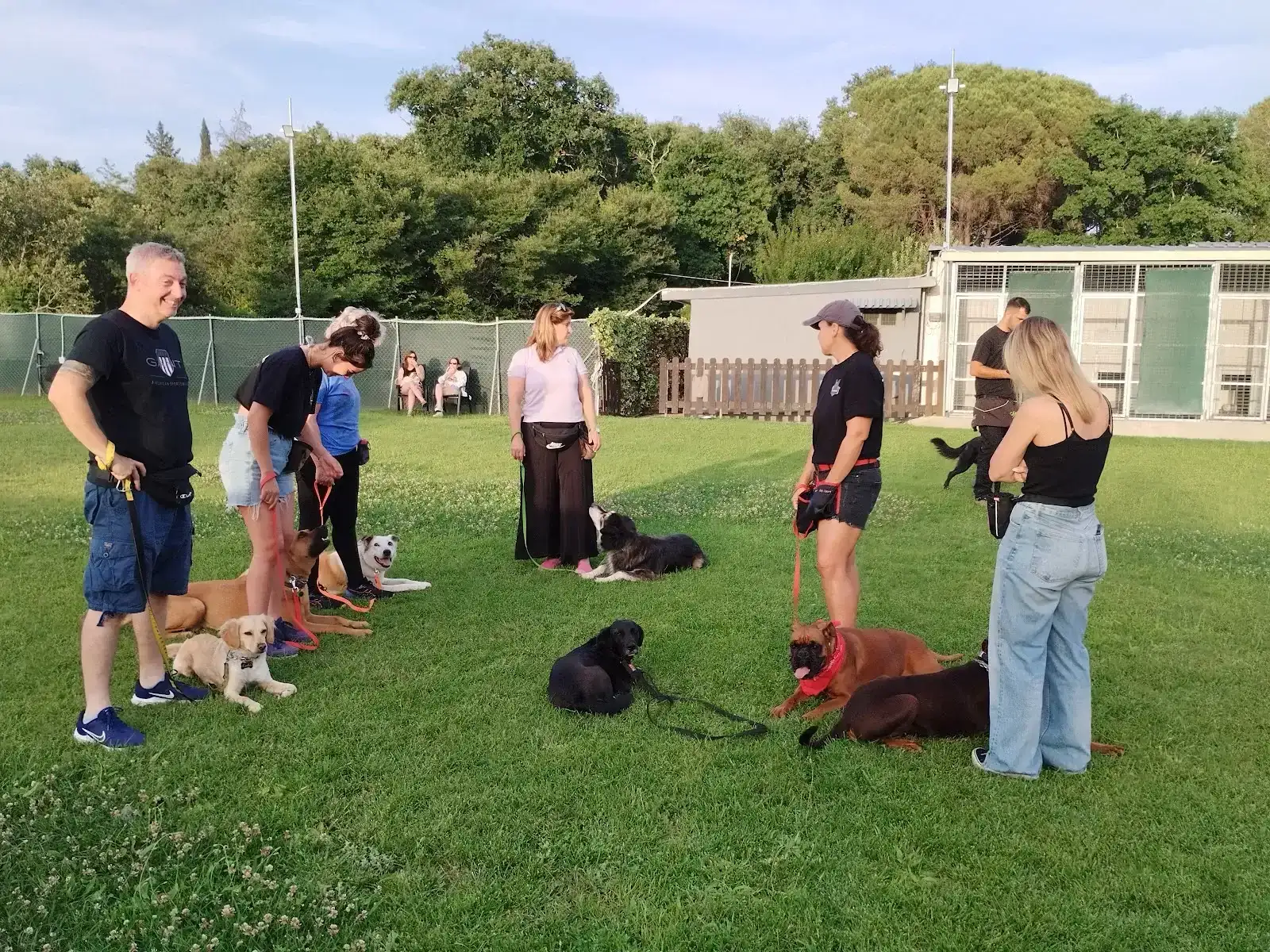 Tranakas dog training lab + dog hotel Corfu