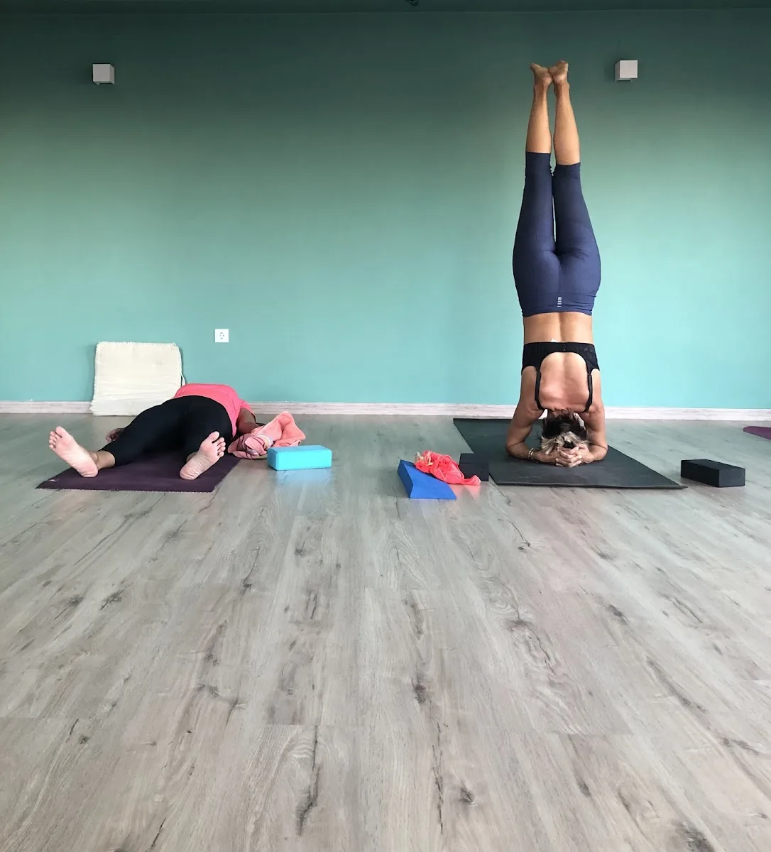 yogamas