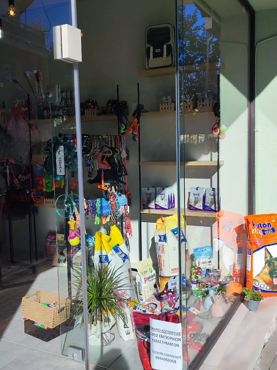 Angel pet boutique