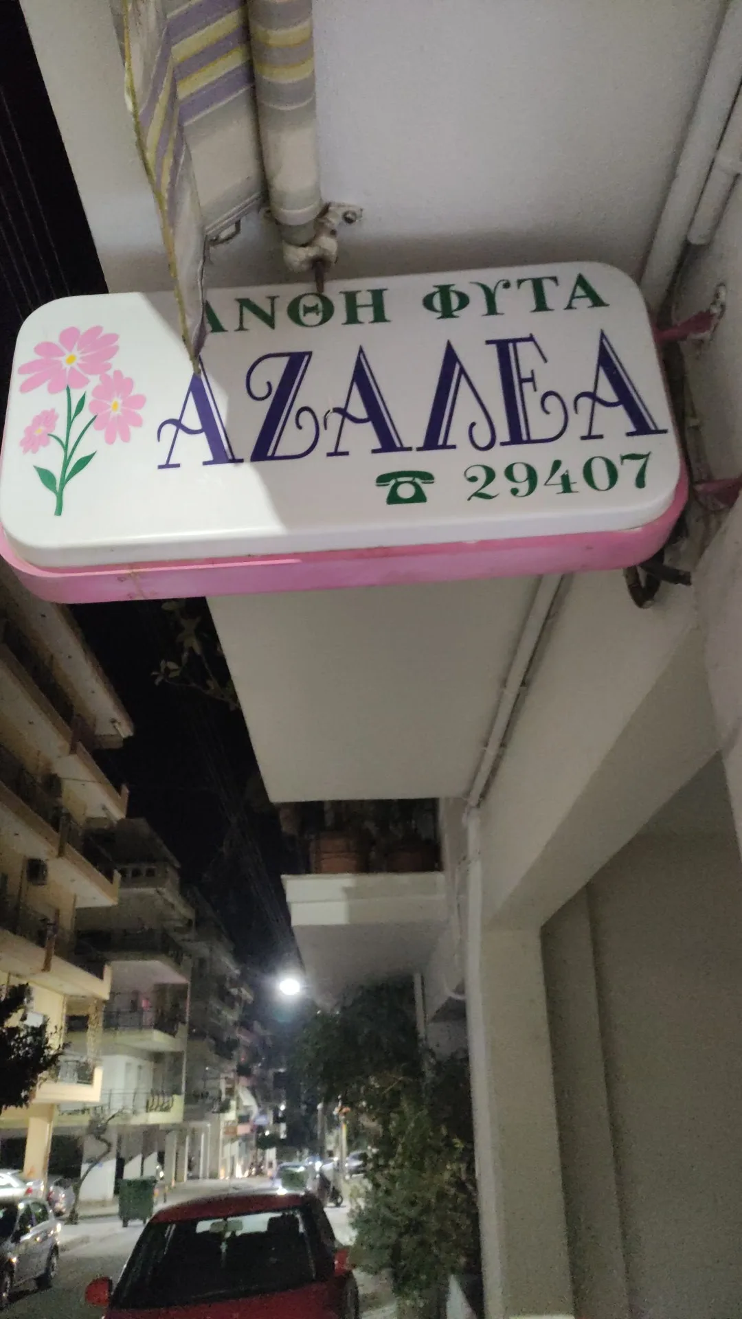 Άνθη-Φυτά Αζαλέα
