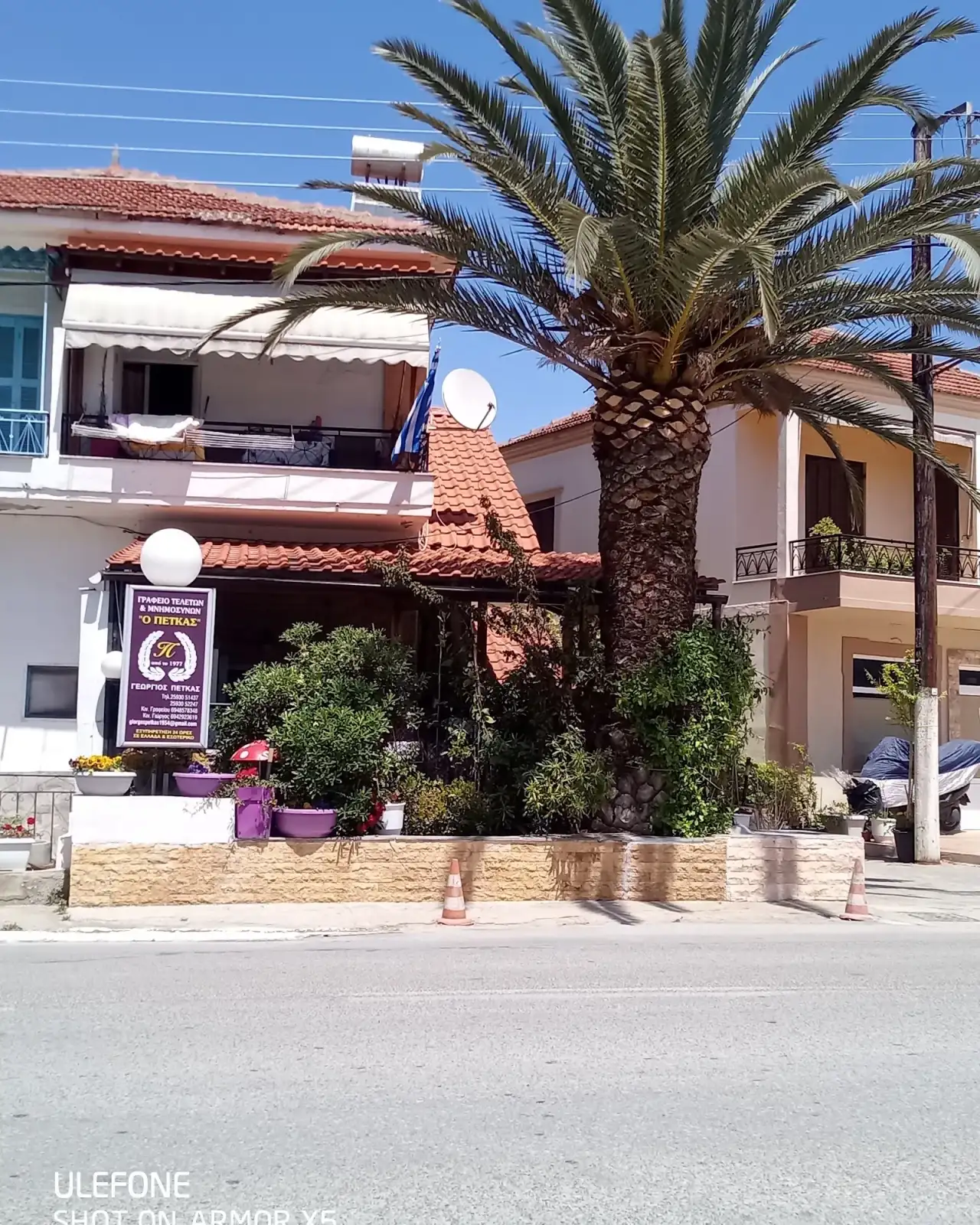 Ανθοπωλείο Αραλια