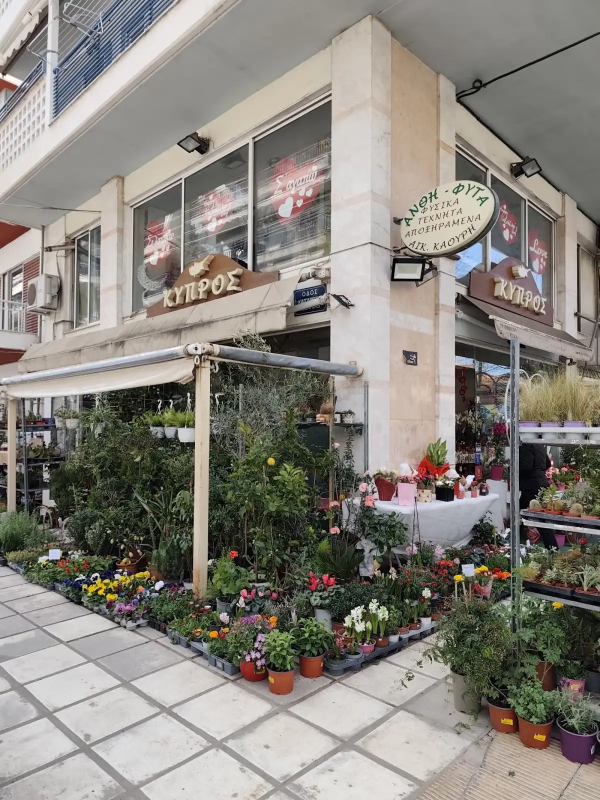 Ανθοπωλειο ΚΥΠΡΟΣ Flowers & Feelings