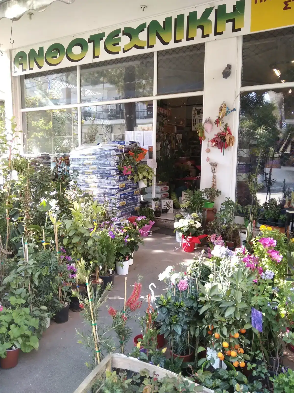 ΑΝΘΟΤΕΧΝΙΚΗ