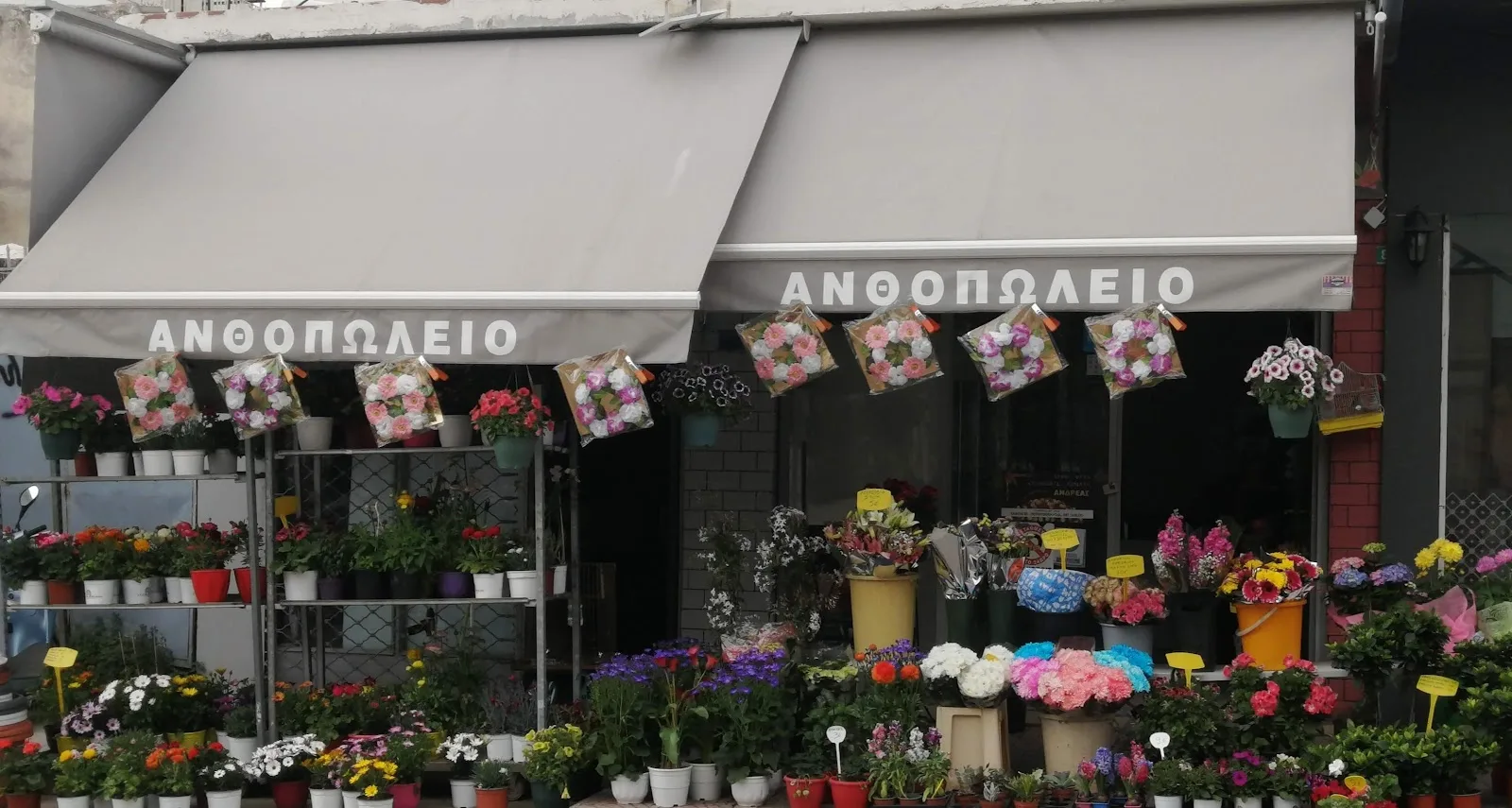 ΒΑΣΙΛΟΠΟΥΛΟΣ ΑΝΘΟΠΩΛΕΙΟ ΠΕΤΡΟΥΠΟΛΗ