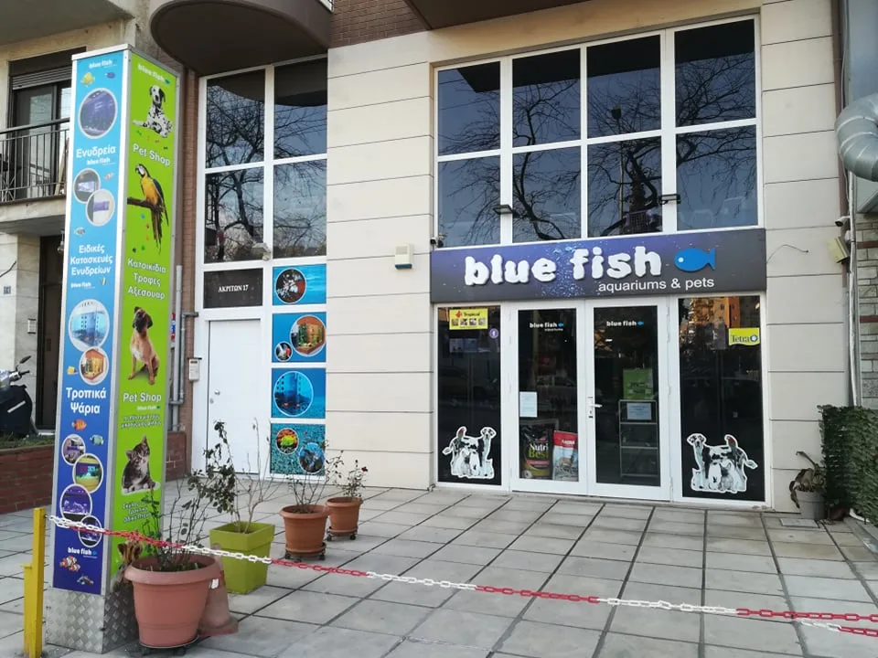 BlueFish Aquariums & Pets - Ενυδρεία ,τροπικά ψάρια και είδη Pet Shop στη Θεσσαλονίκη · Ιχθυοπωλεία · Θεσσαλονίκη