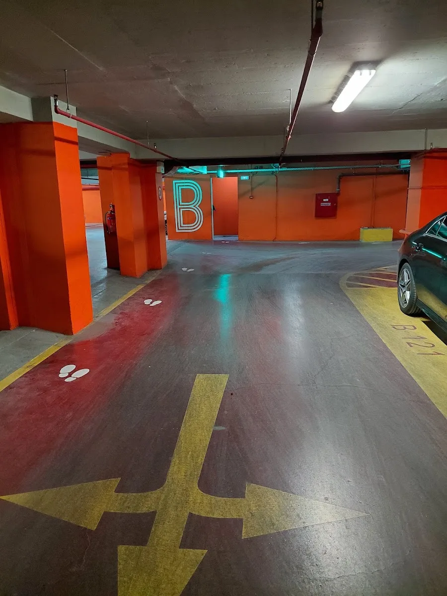 Cosmos Parking