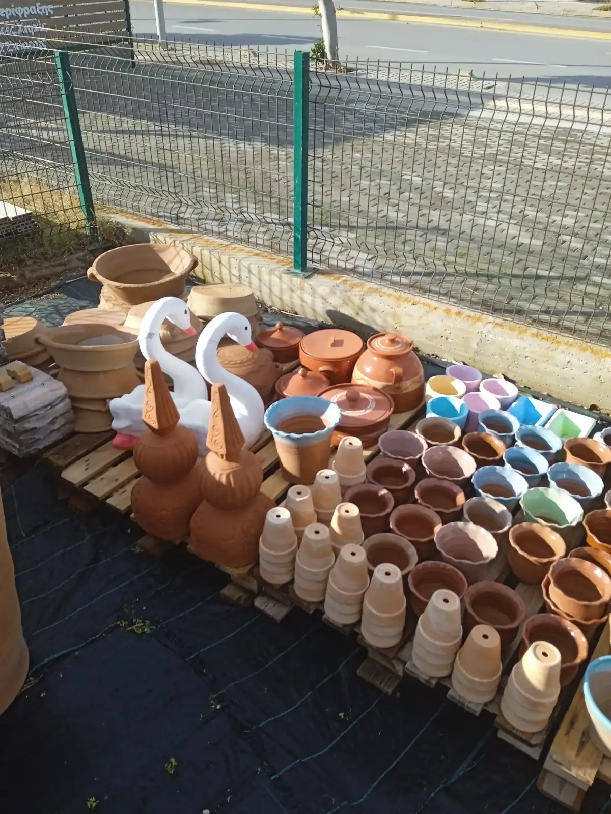 Creta Plants
