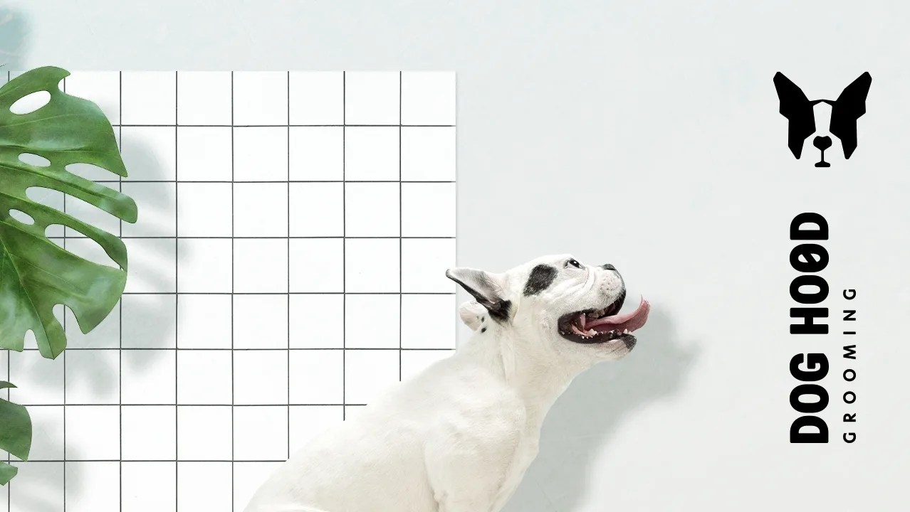 DogHood grooming Κομμωτήριο σκύλων