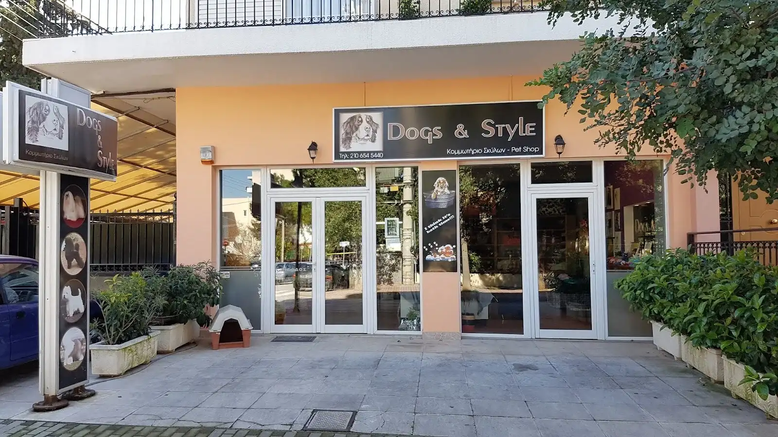 Dogs and Style