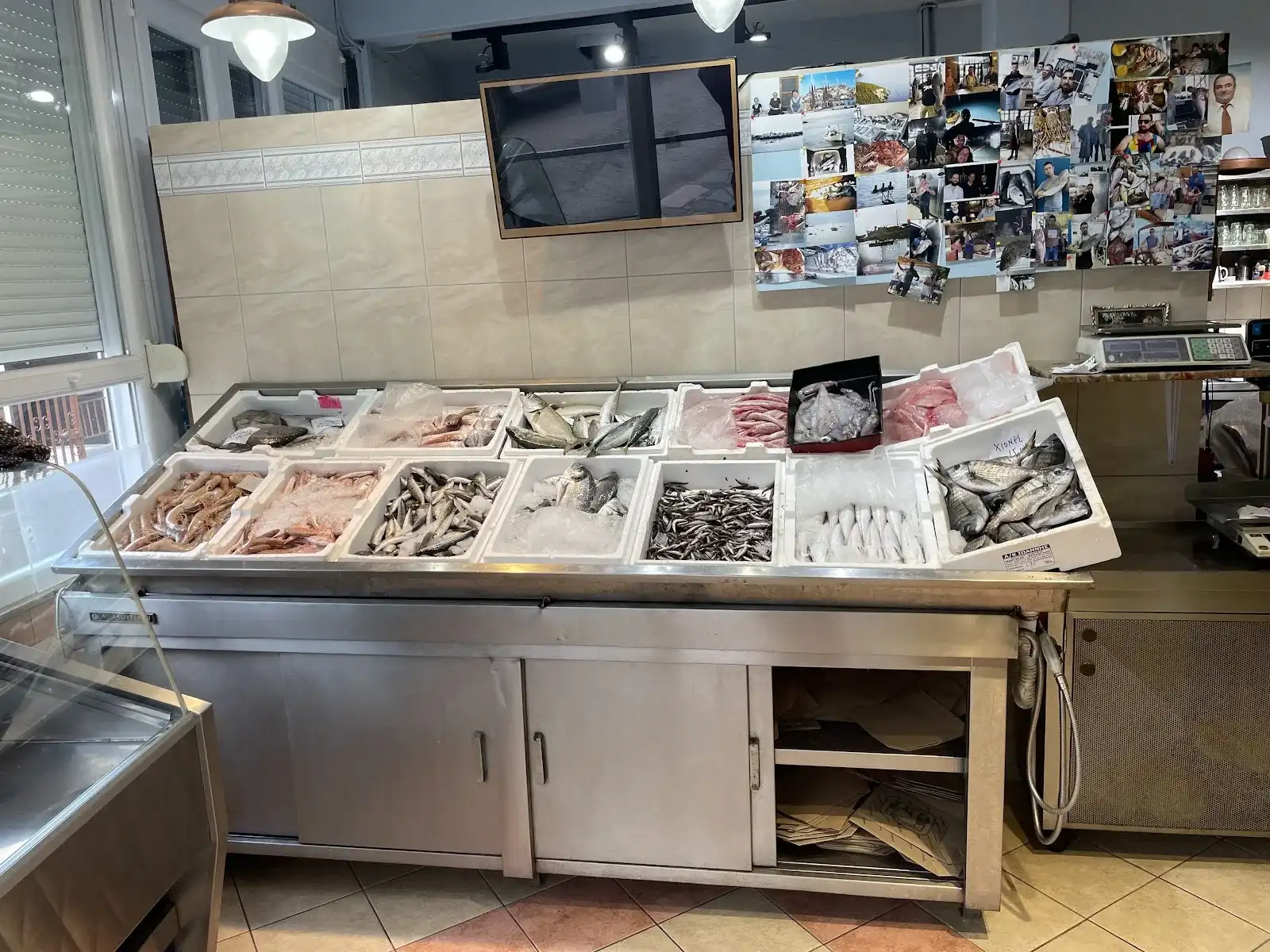 Fish & Grill