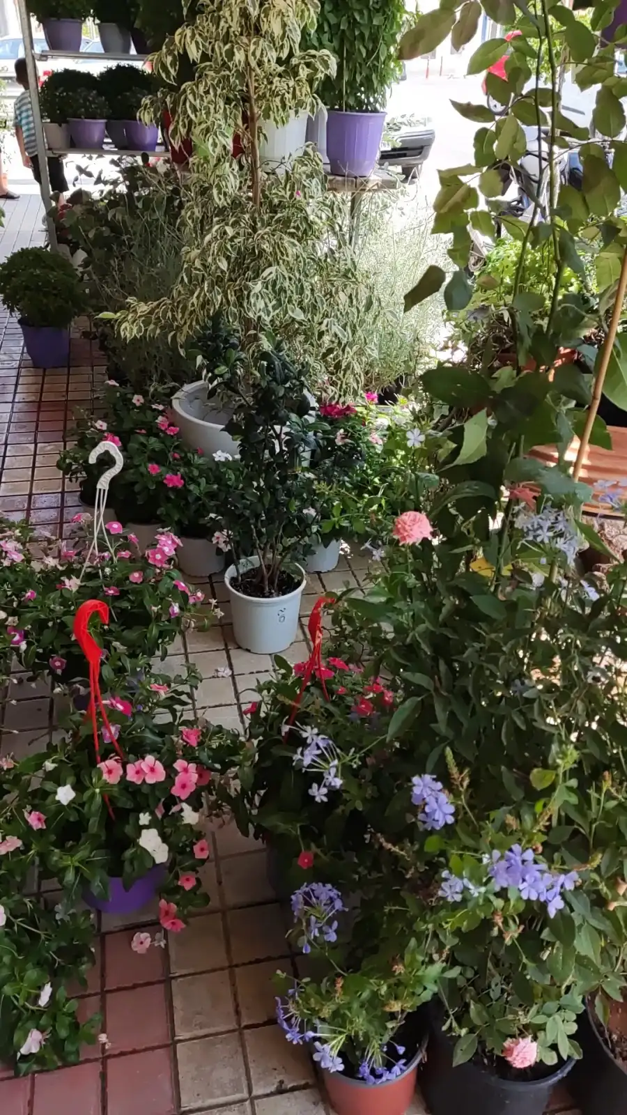 Floral creations by Άσπα Νικολοπούλου