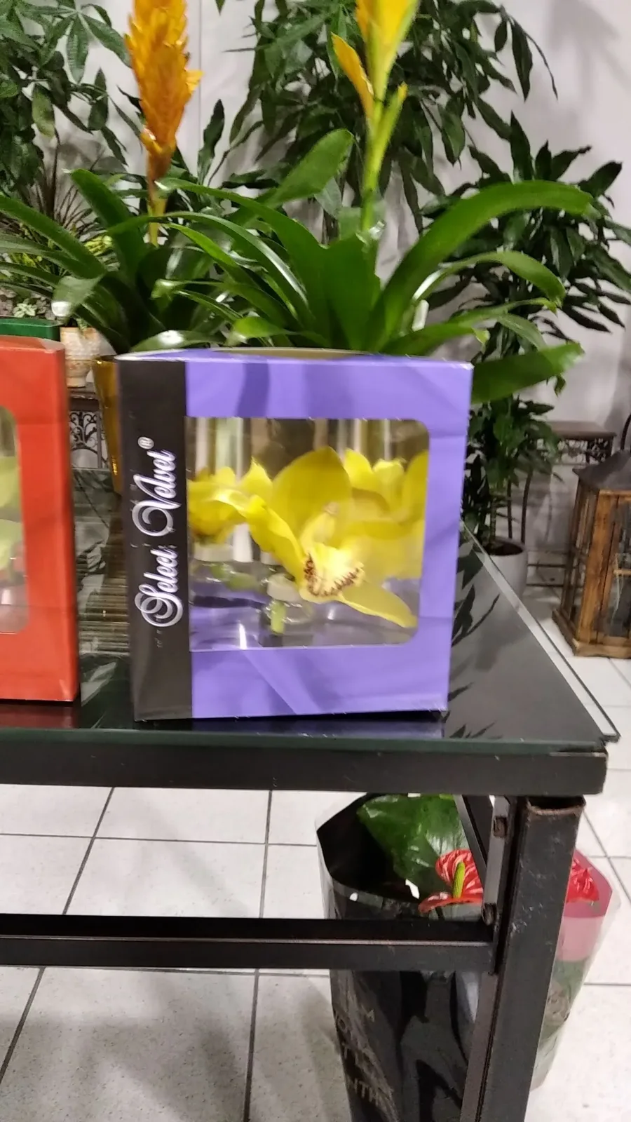 Flower Creations Μπουρης