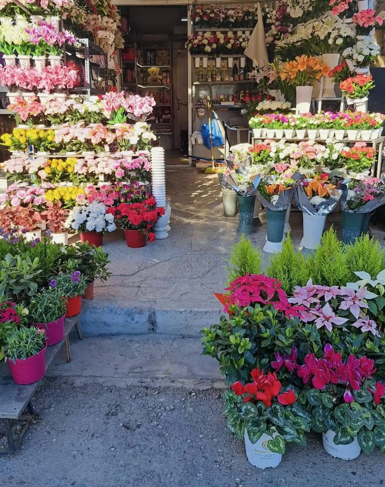 For You Flowers And More