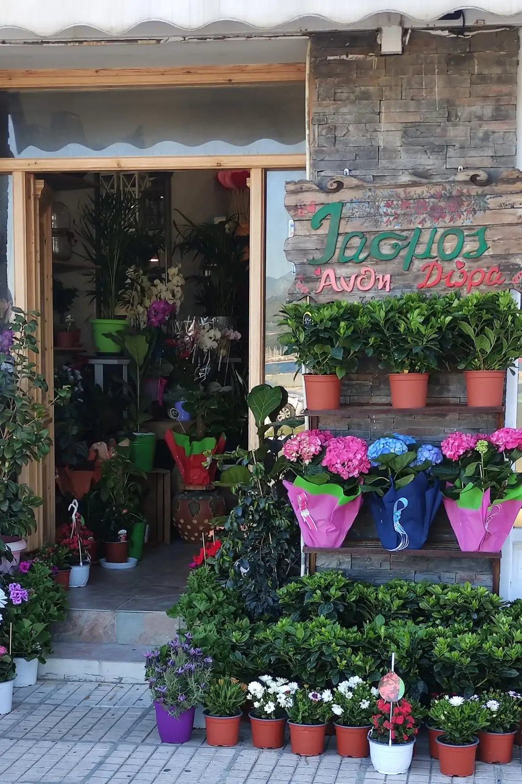 Iasmos Flower shop - Gift shop
