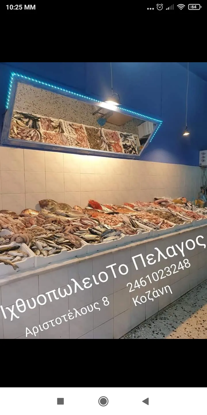 Ιχθυοπωλείο Το Πέλαγος Κοζάνη