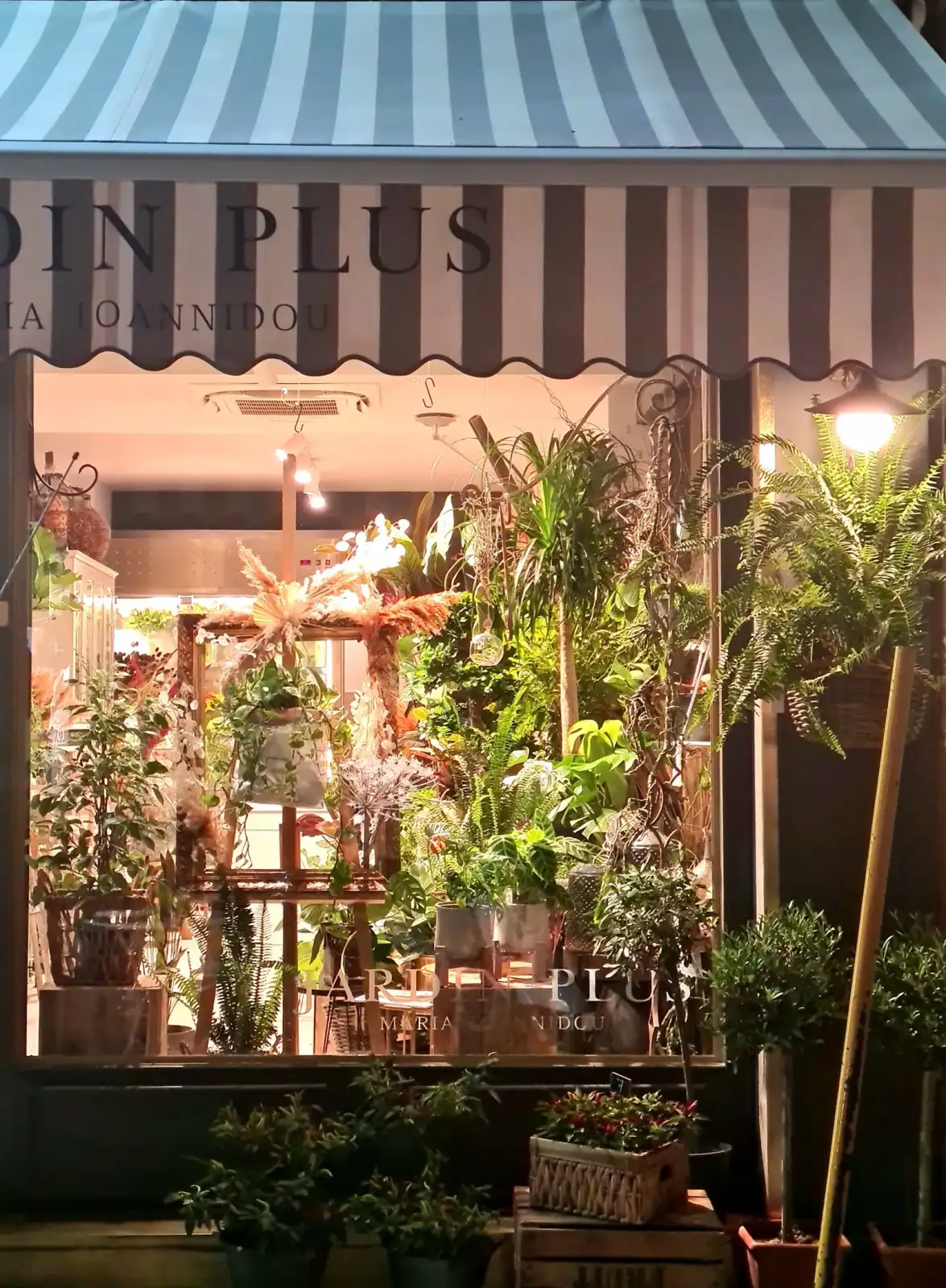 JARDIN PLUS MARIA IOANNIDOU
