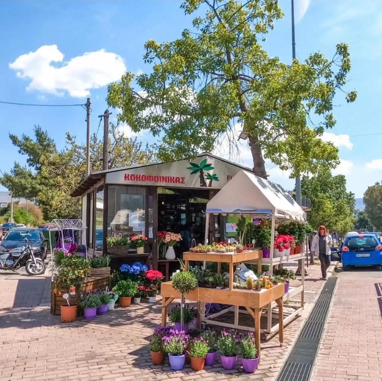 Κοκοφοινικας Flower Land