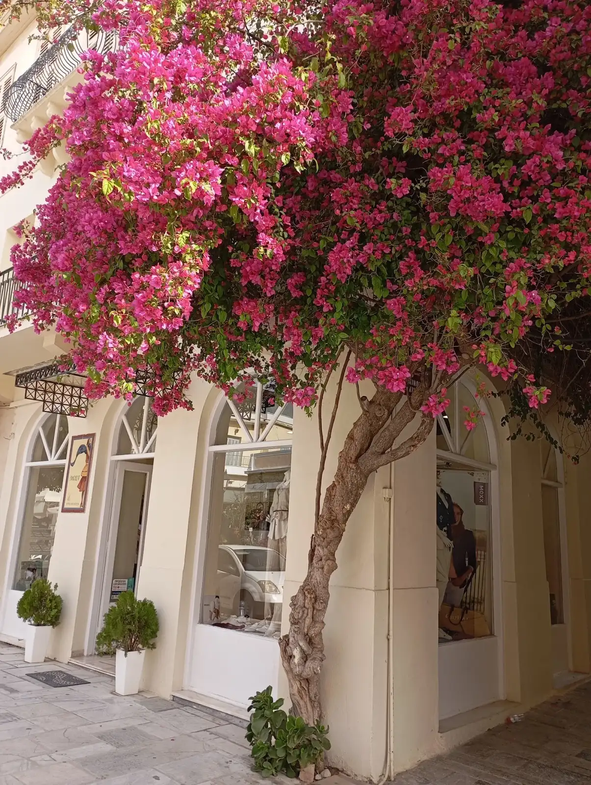ΛΕΚΚΑ ΑΓΓΕΛΙΚΗ · Clothing & Footwear · Ναύπλιο