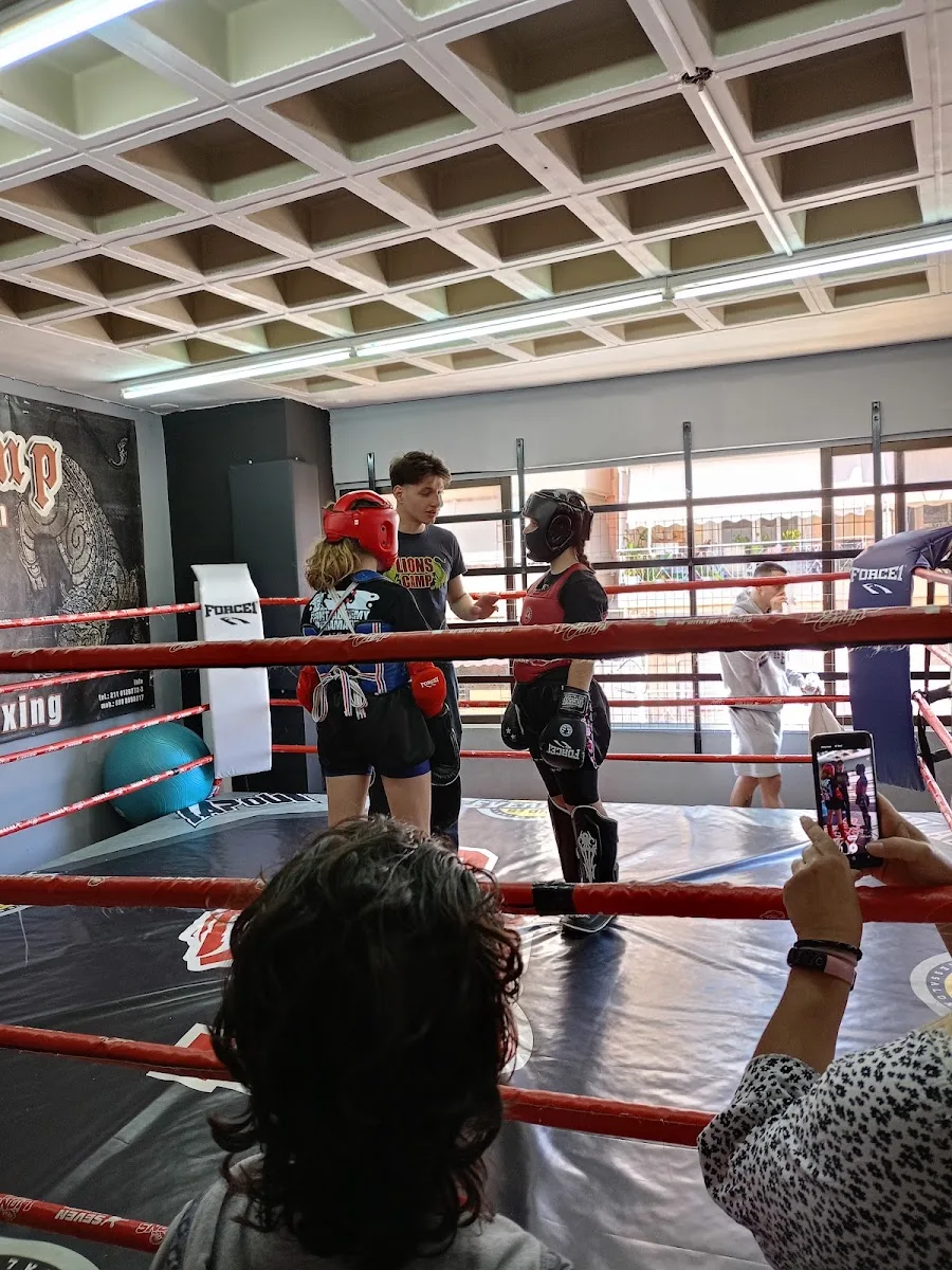 Lions Camp Muay Thai School