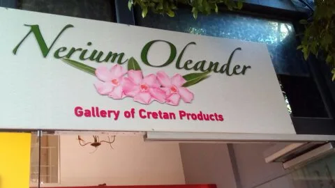 Nerium Oleander