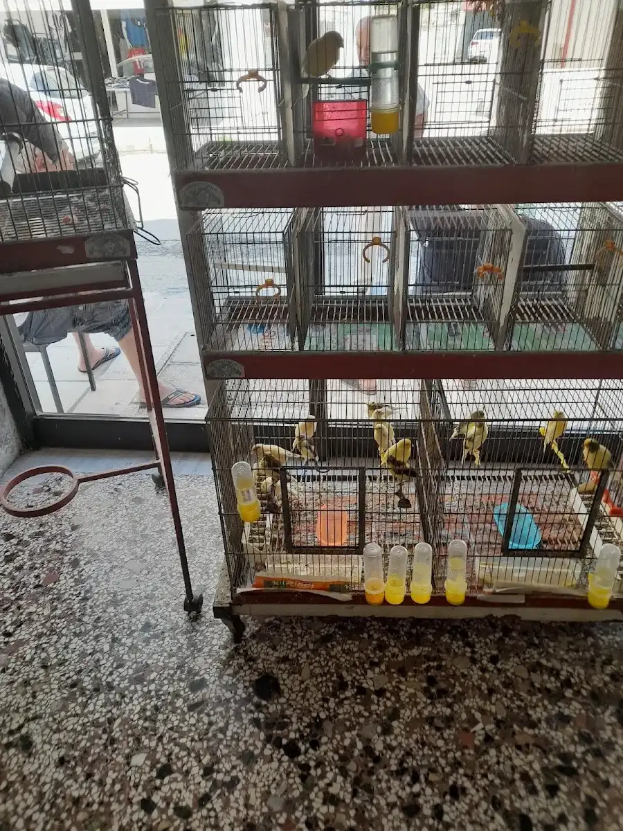 Pet shop
