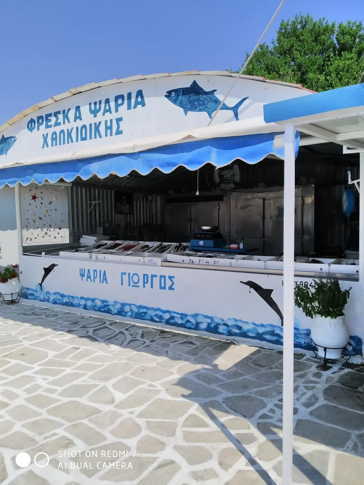 Φρέσκα Ψάρια Γιωργος