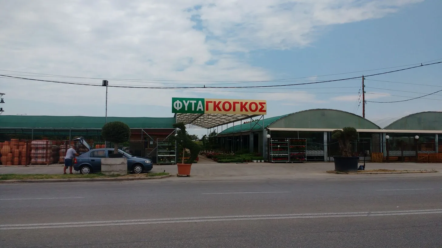 Φυτα Γκογκος
