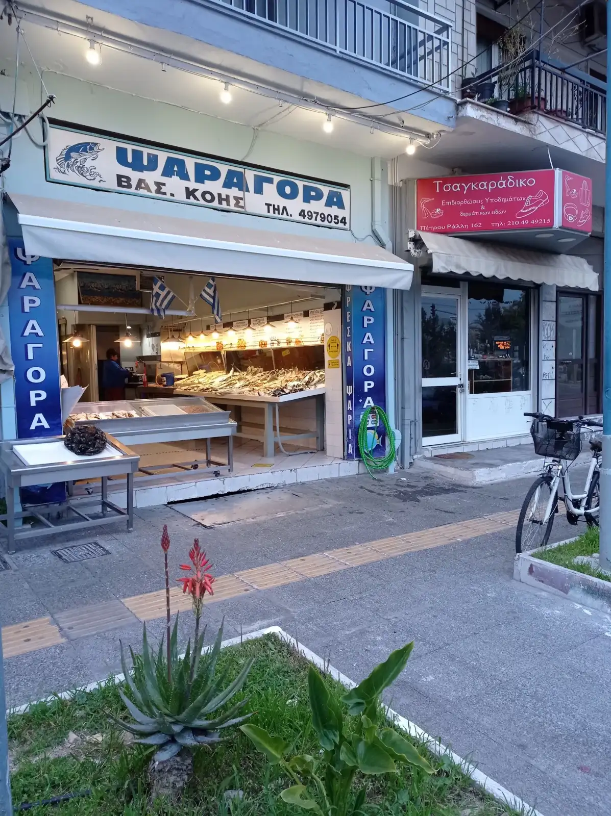 ΨΑΡΑΓΟΡΑ ΚΟΗ