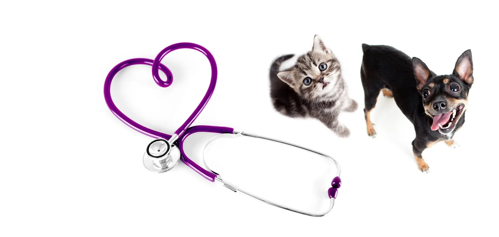 ΡΑΜΑΝΤΑΝΗ ΕΛΕΝΗ ΚΤΗΝΙΑΤΡΟΣ ΠΕΙΡΑΙΑΣ · Pet Shops & Pet Food · Πειραιάς