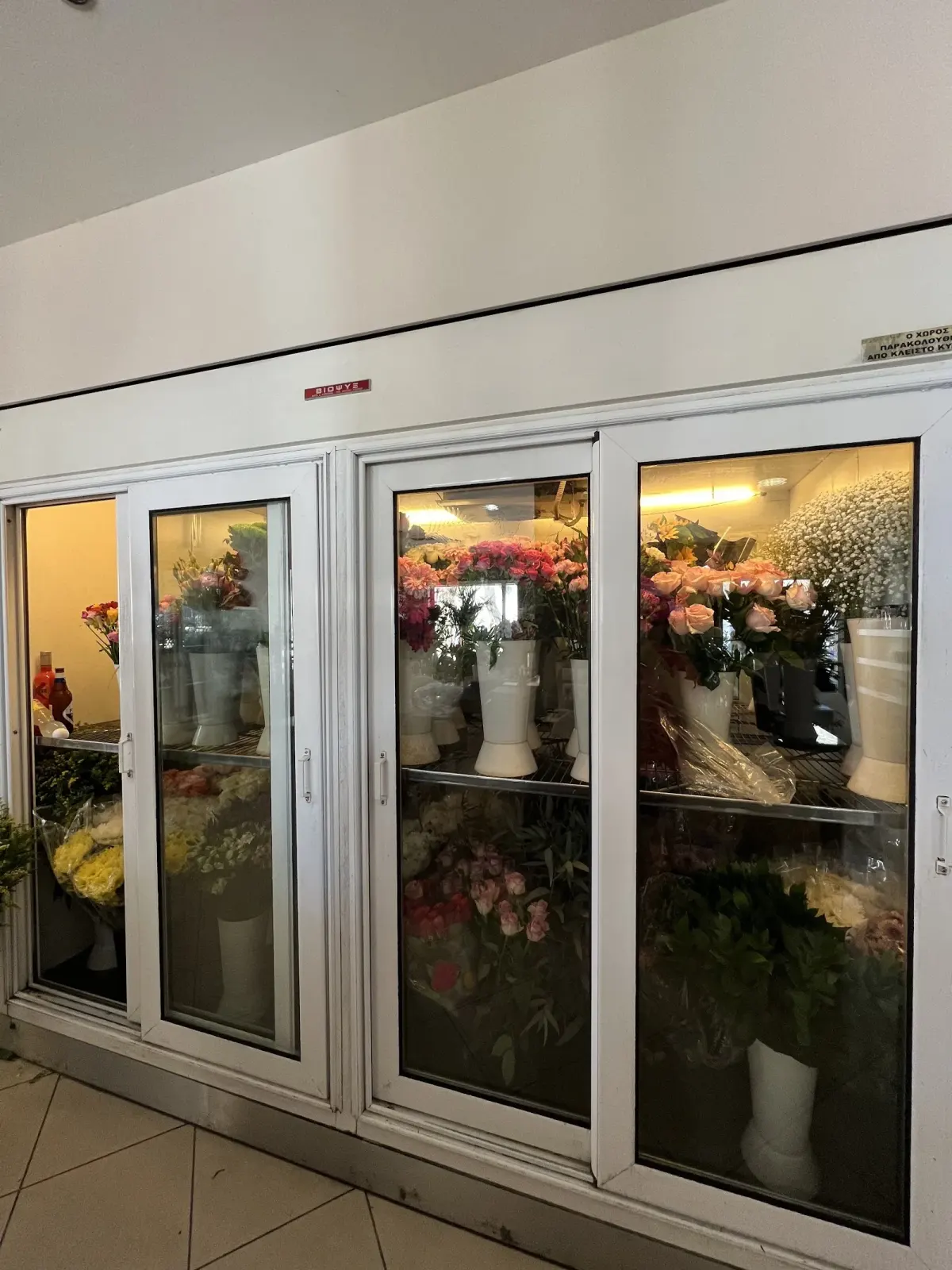Santorini's Flowers