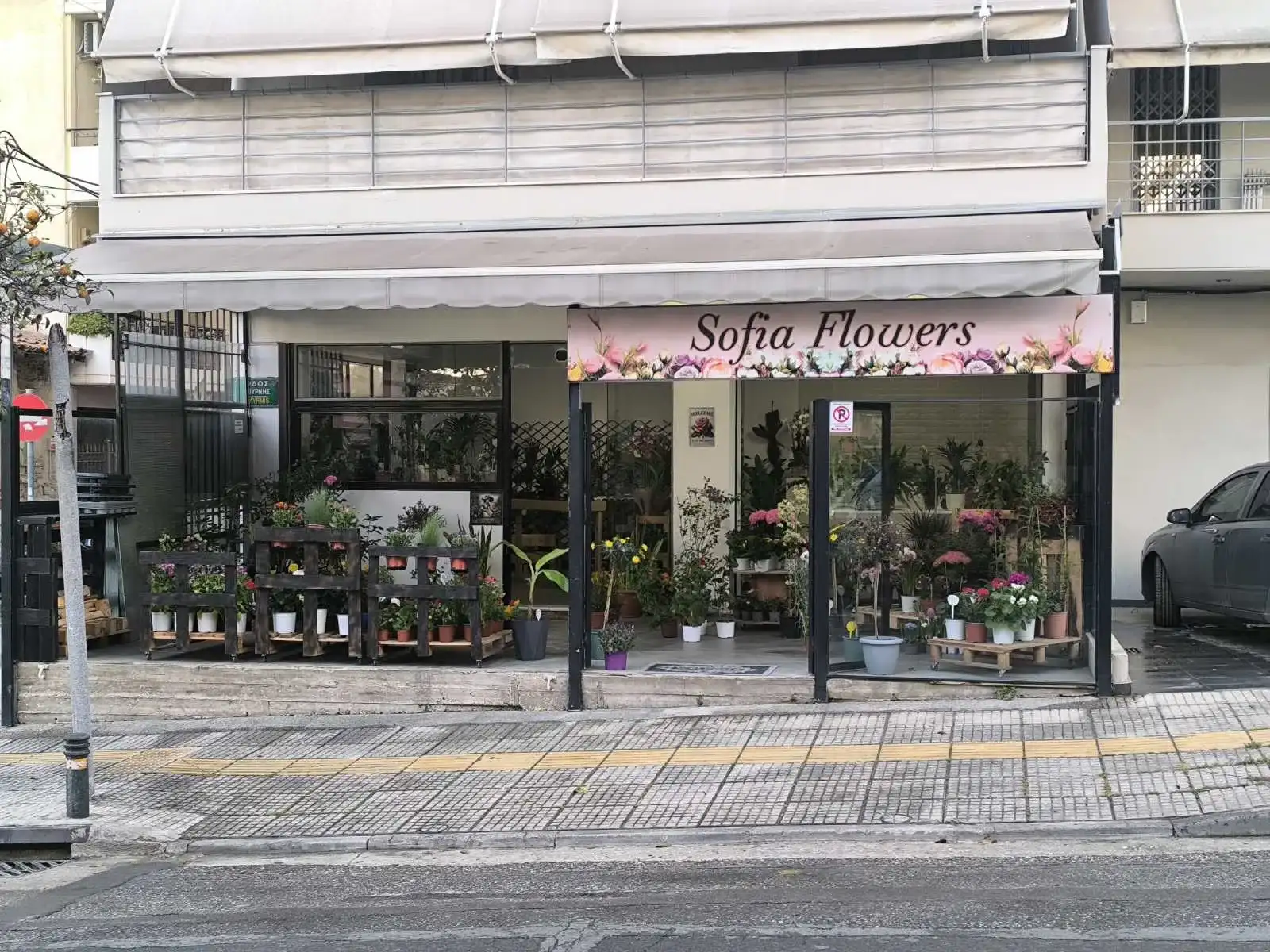Sofia flowers