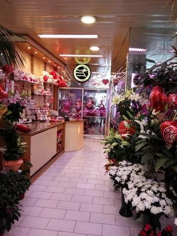 Stelios Flowers · Ανθοπωλεία · Πειραιάς