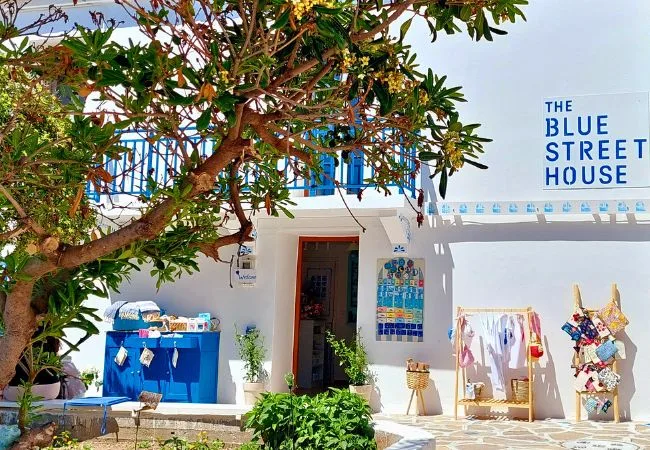 The Blue Street House