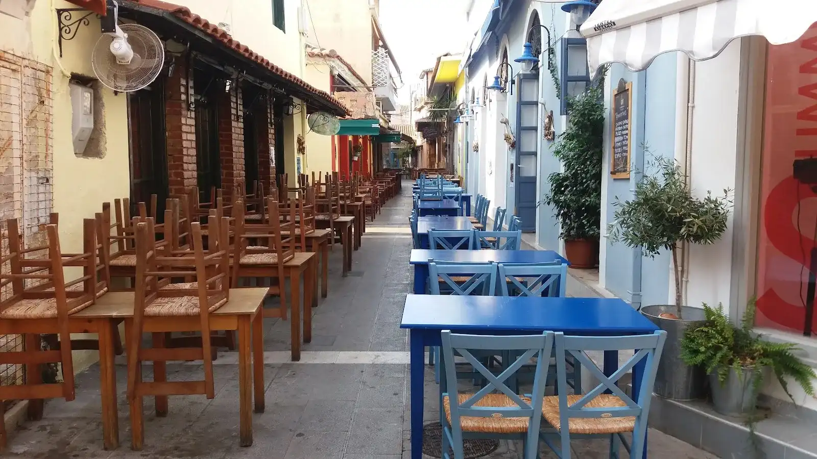 Τρελή Γαρίδα