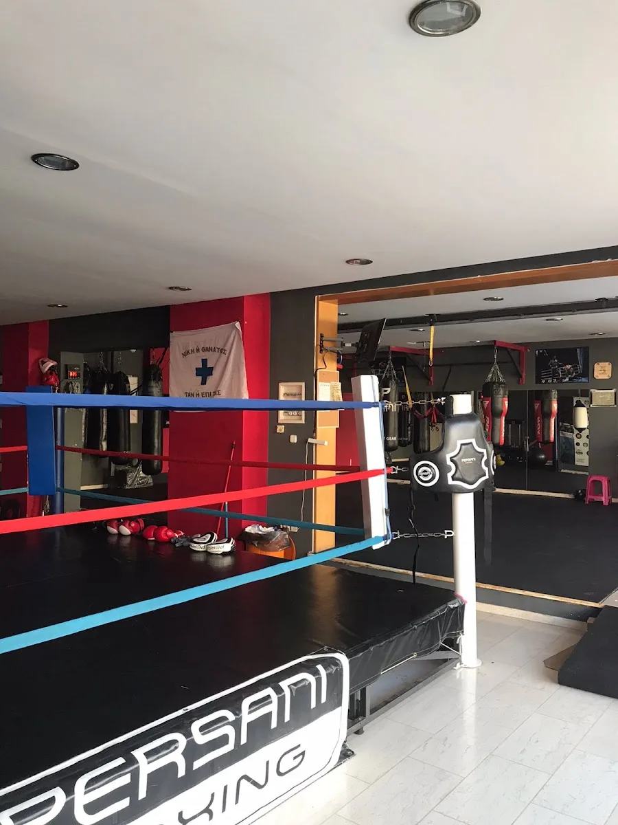TSAGKRAKOS BOXING ACADEMY